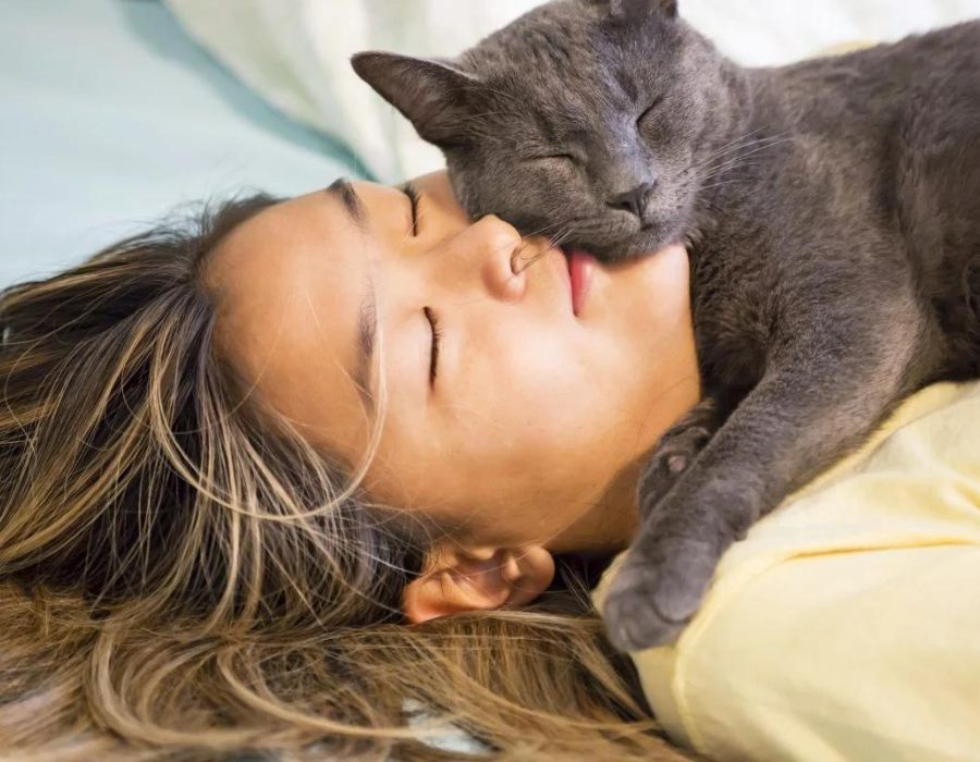 cat sleeping above a woman head