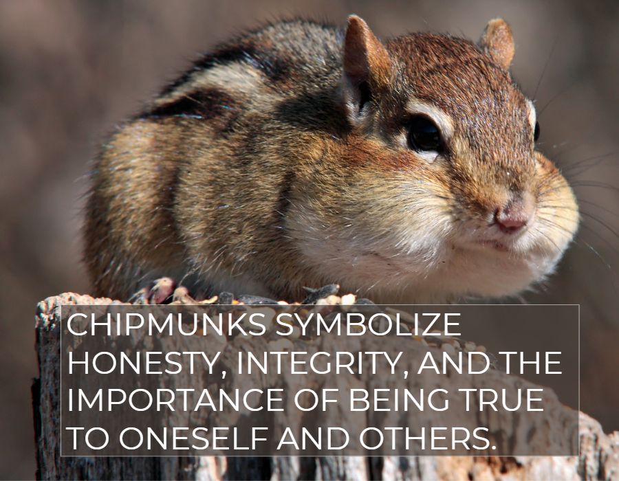 Chipmunks symbolize honesty