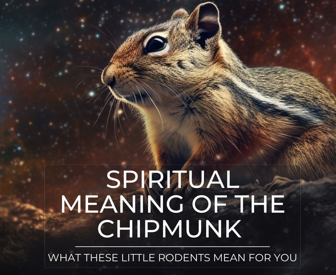 spiritual meaning chipmunk