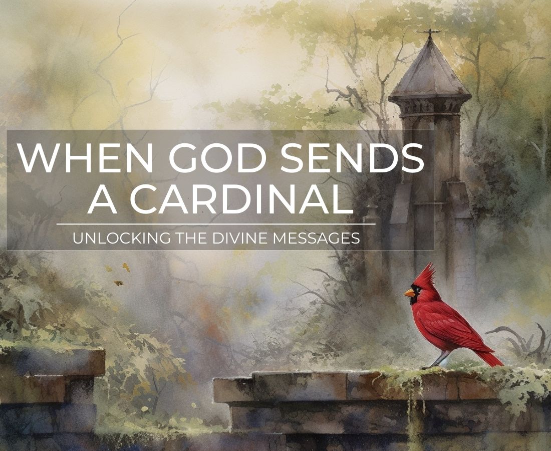 when god sends a cardinal