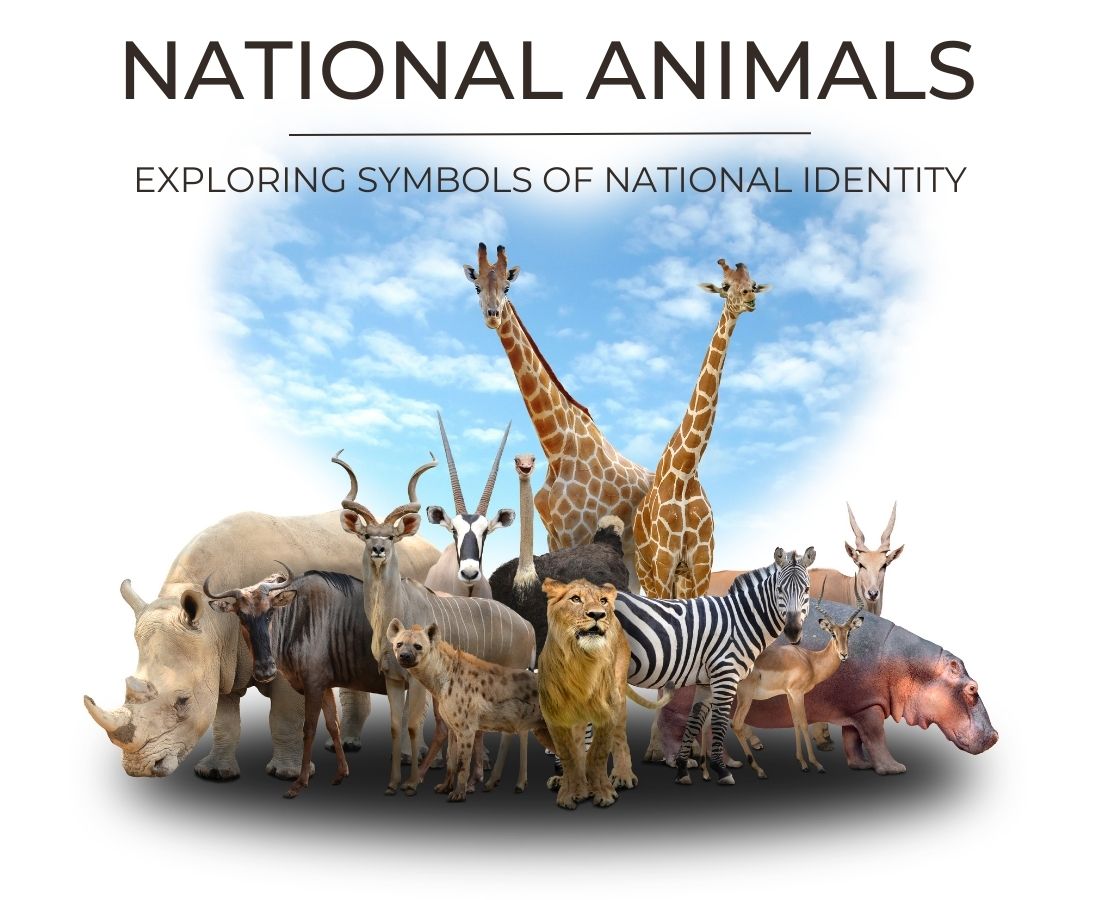 National animals National Identity