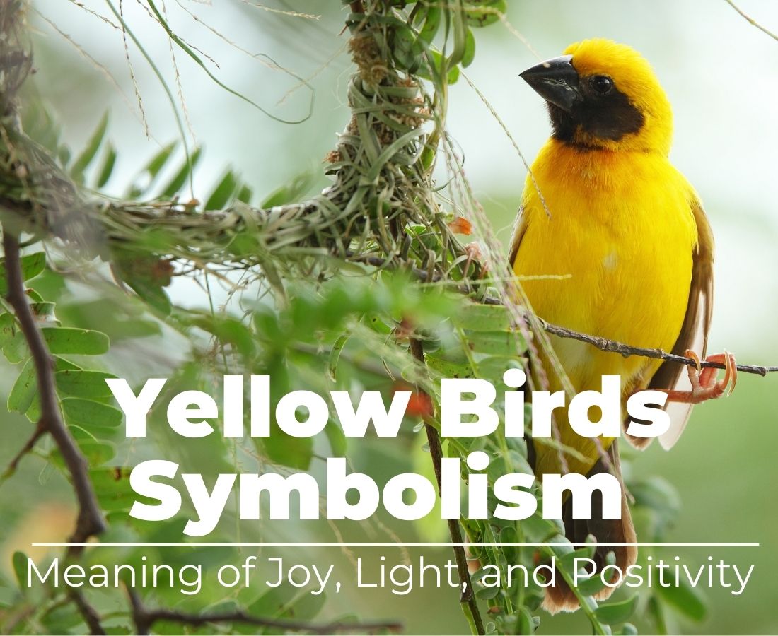 Yellow Birds Symbolism