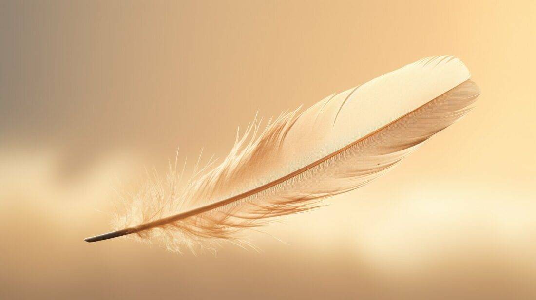 Feathers