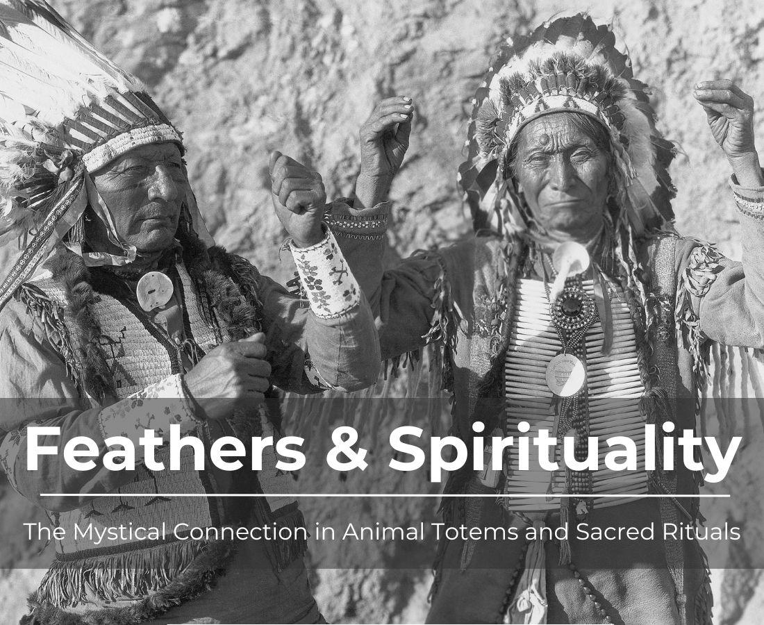 Feathers in Animal Totem Spirit