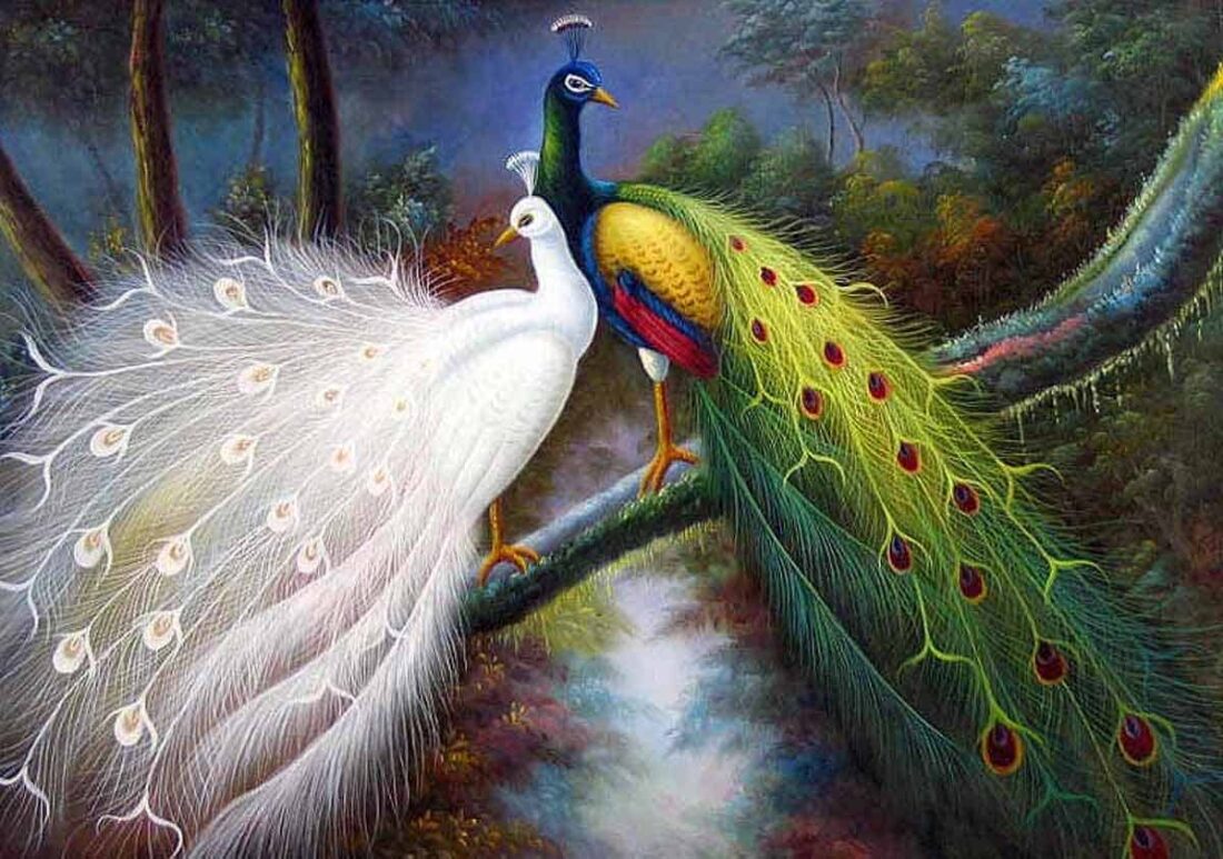 peacock in dream meaning