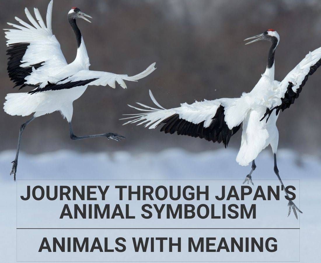symbolic animals Japan