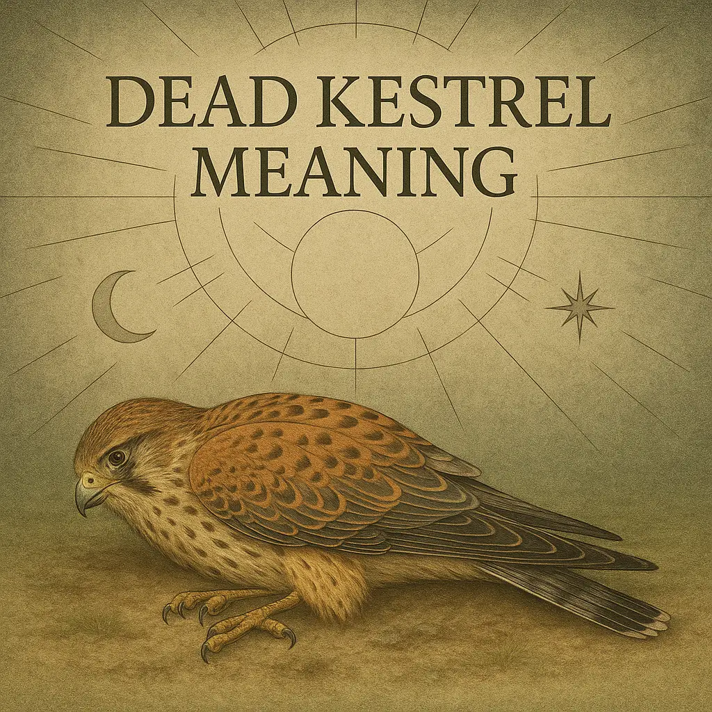 dead kestrel meaning