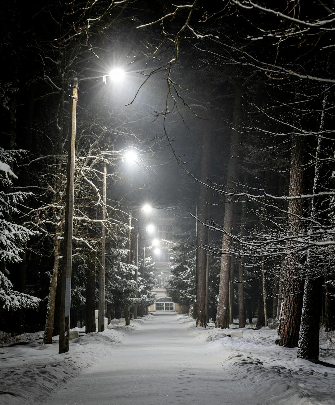 photo of pavement with street lights during winter