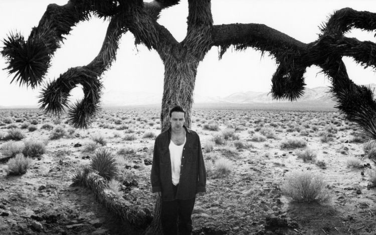 joshuatreealbum5 Sacred Sentinels: Unlocking the Mystical Power of Joshua Trees as Spiritual Bridges Between Earth and Sky