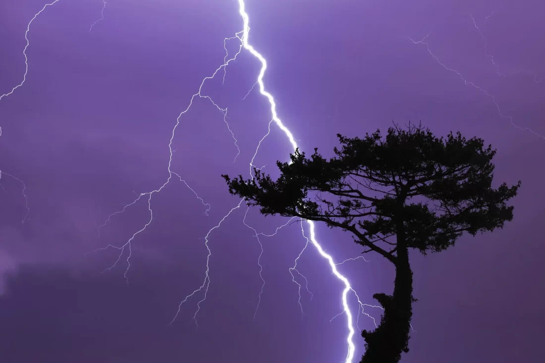 lightning strikes tree