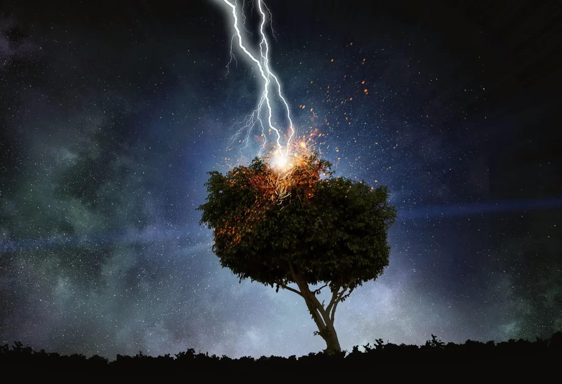 Tree struck by lightning at night