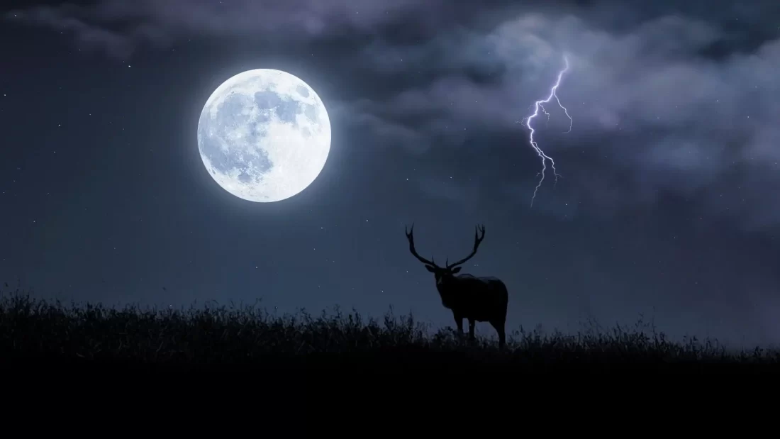 Buck Moon