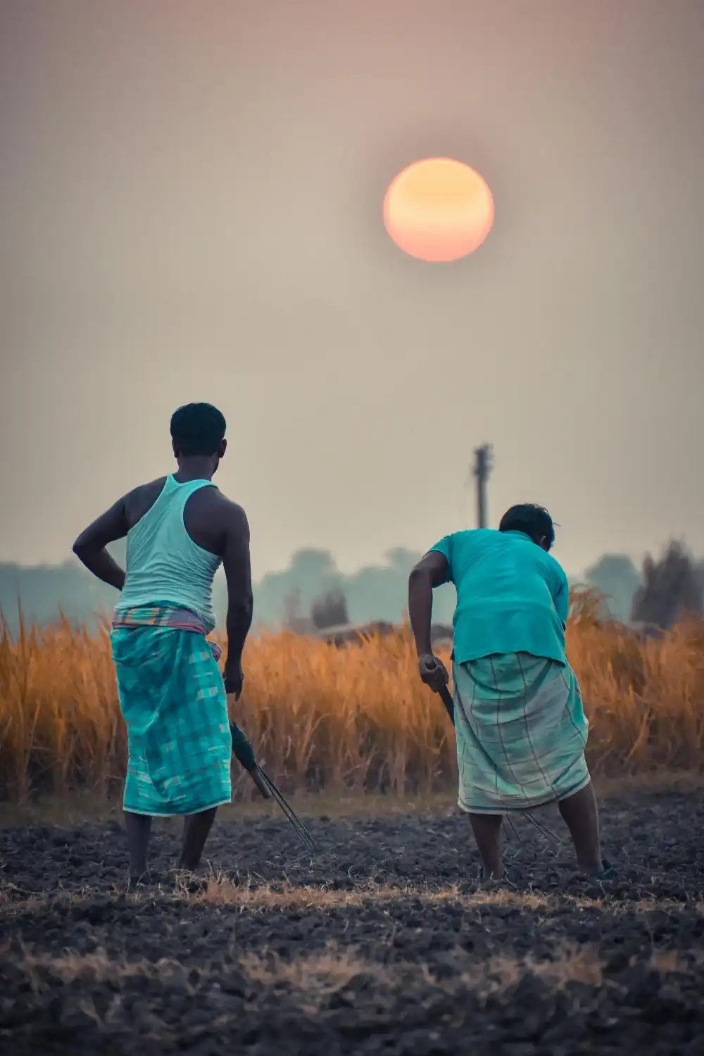 Harvest Moon in India