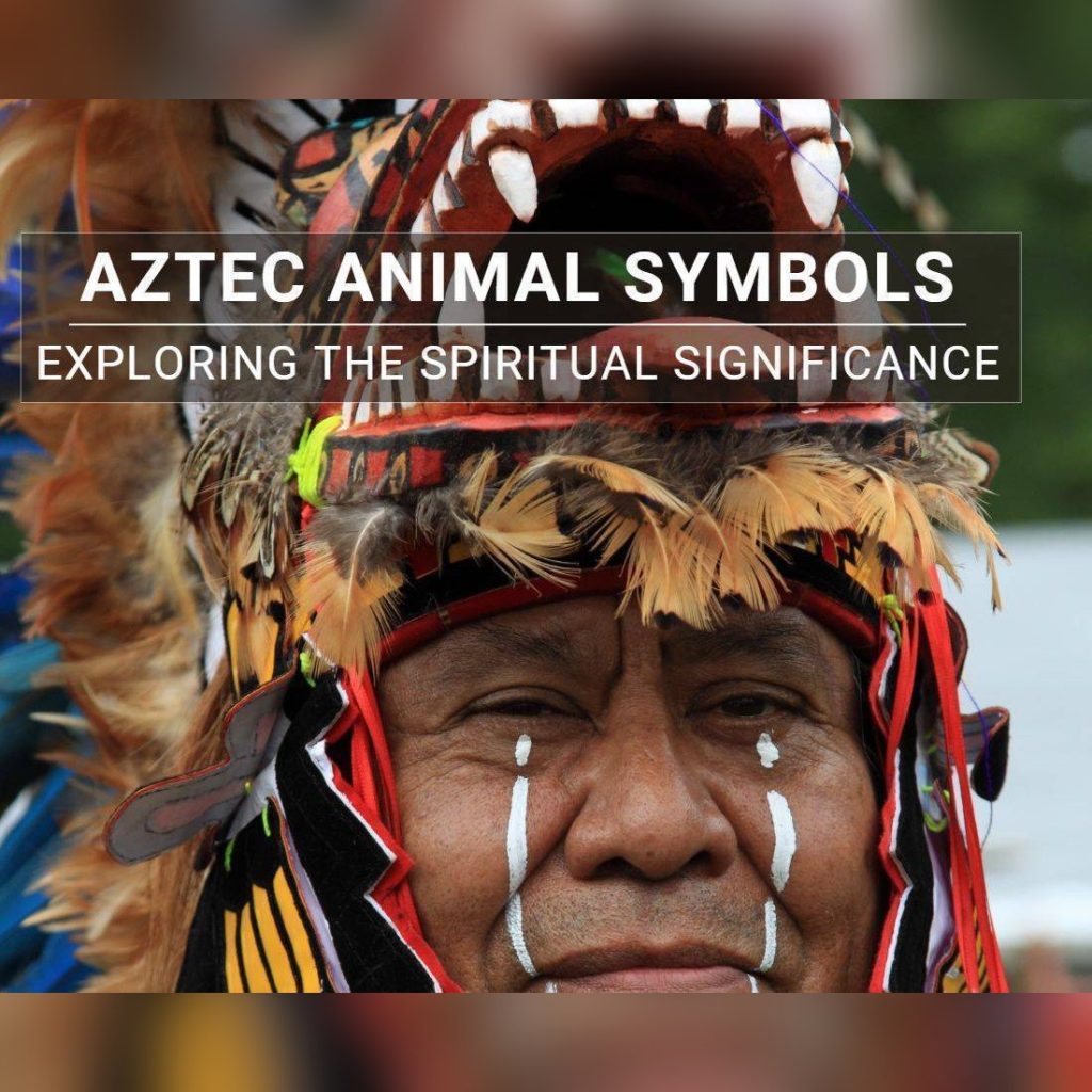Aztec Animals And Their Sacred Meanings In Ancient Culture
