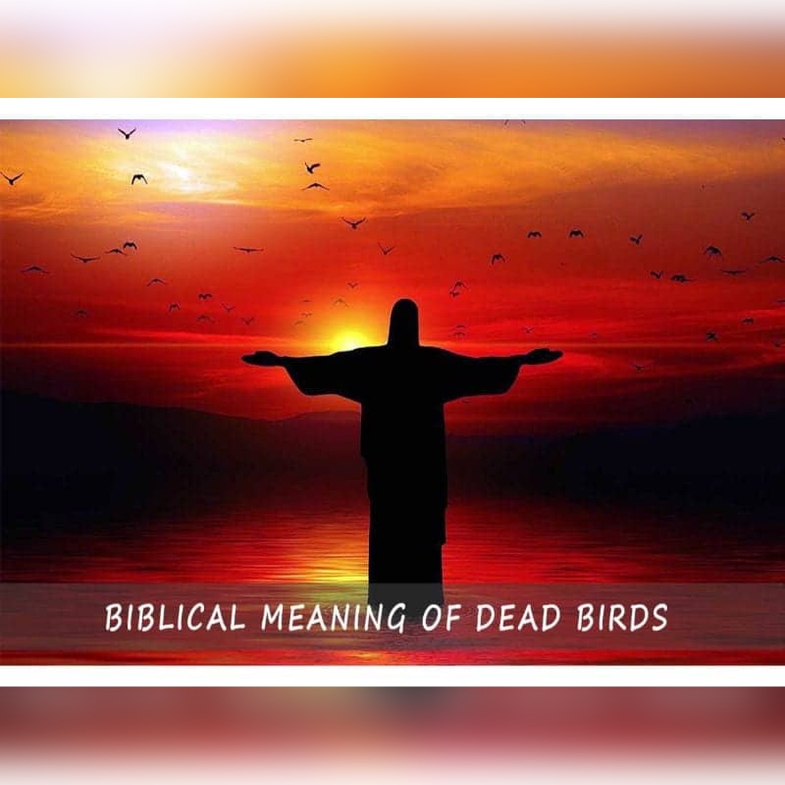 Unveiled: The Biblical Meaning of Dead Birds – From Divine Omens to Spiritual Renewal