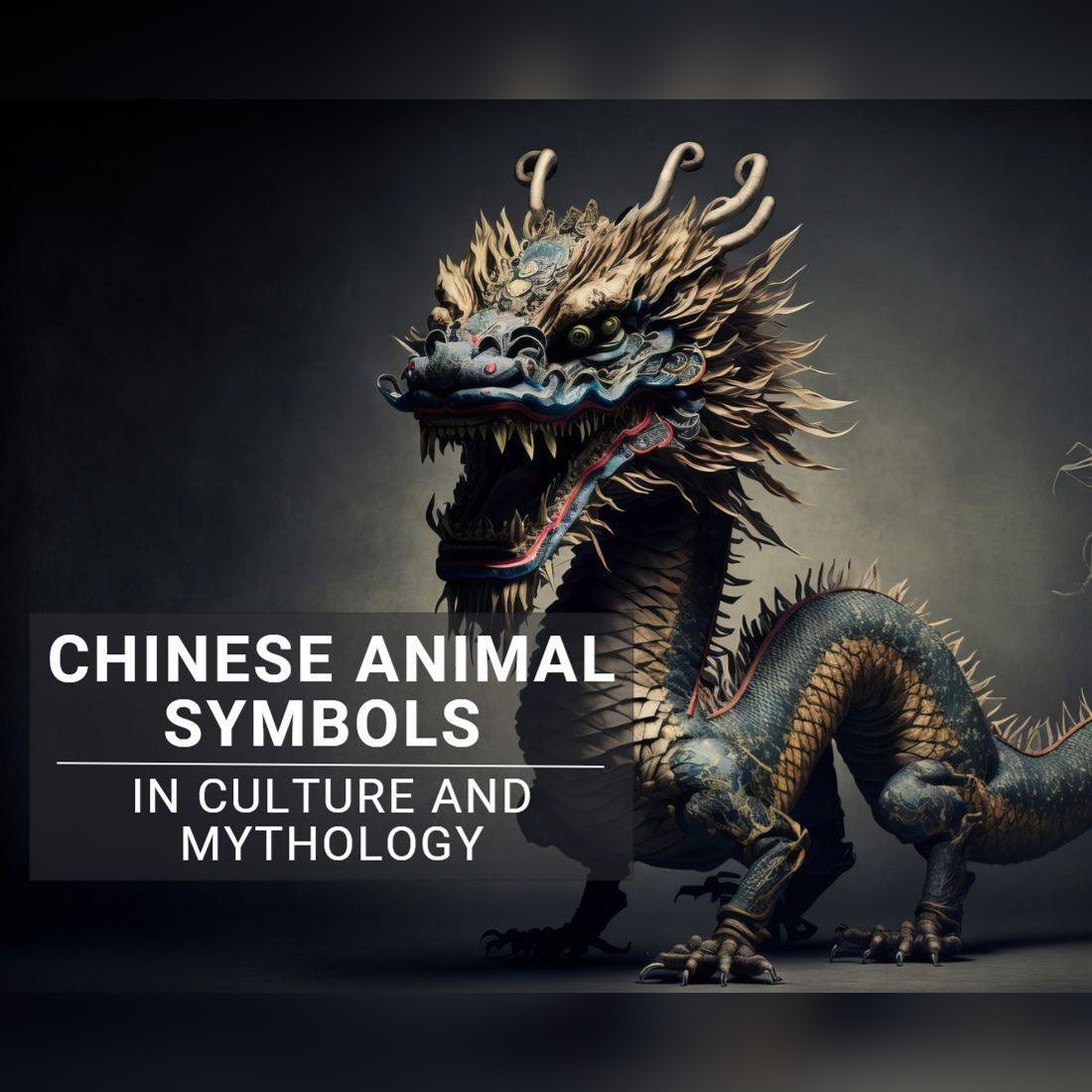 Chinese Animal Symbols