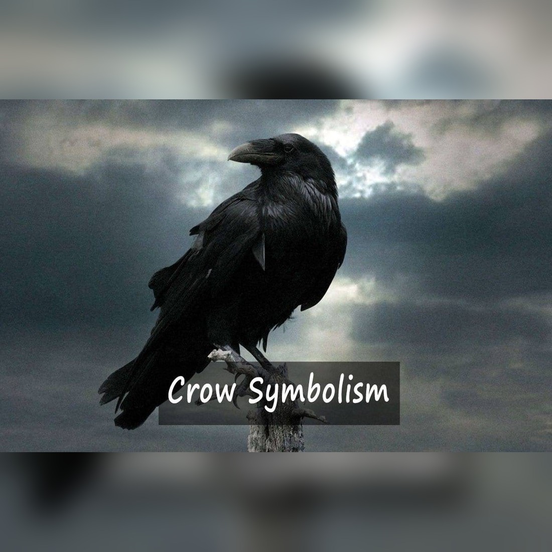 Crow Symbolism