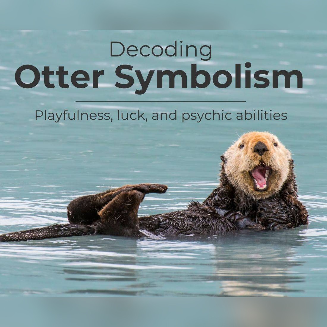 Otter Symbolism