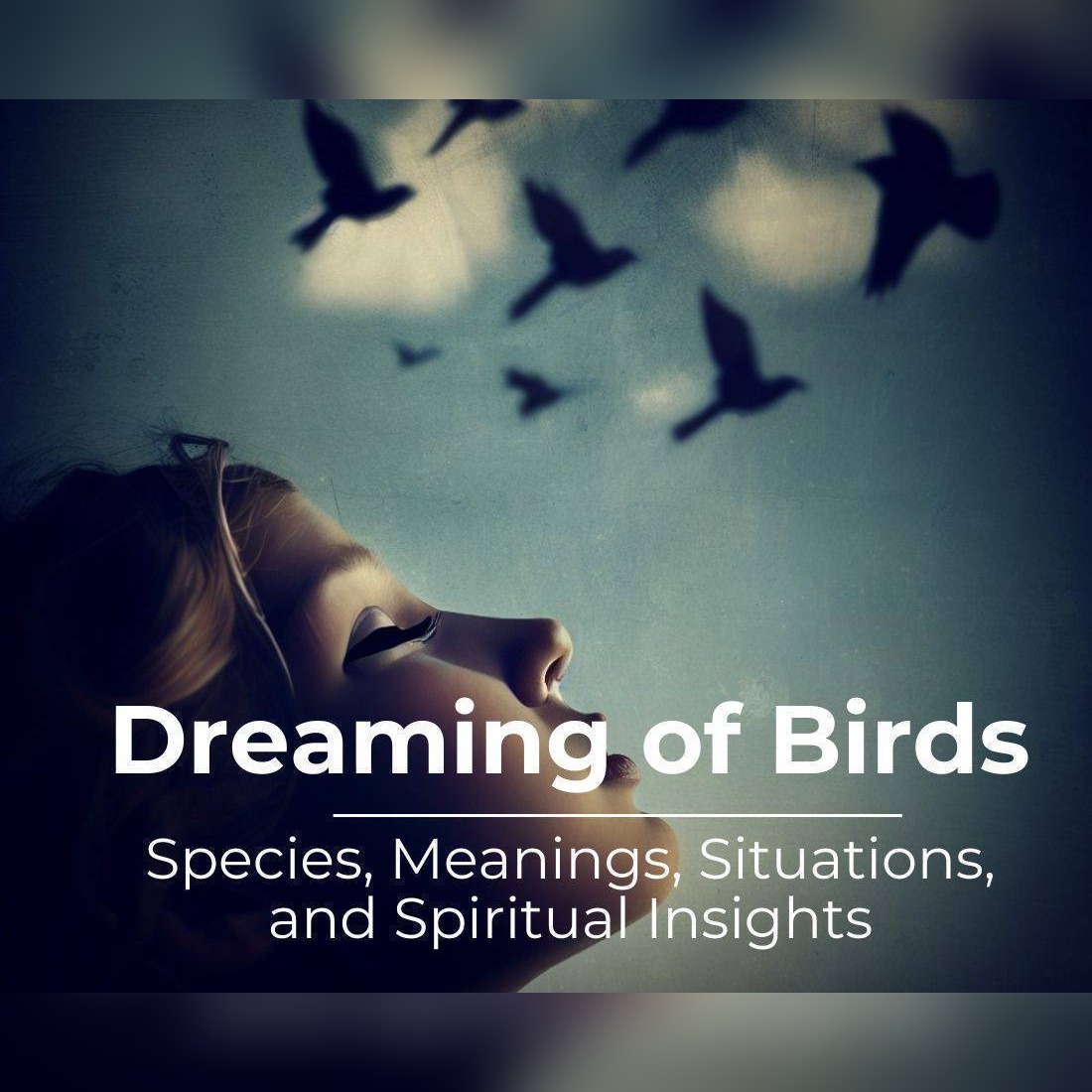 Dreaming of Birds