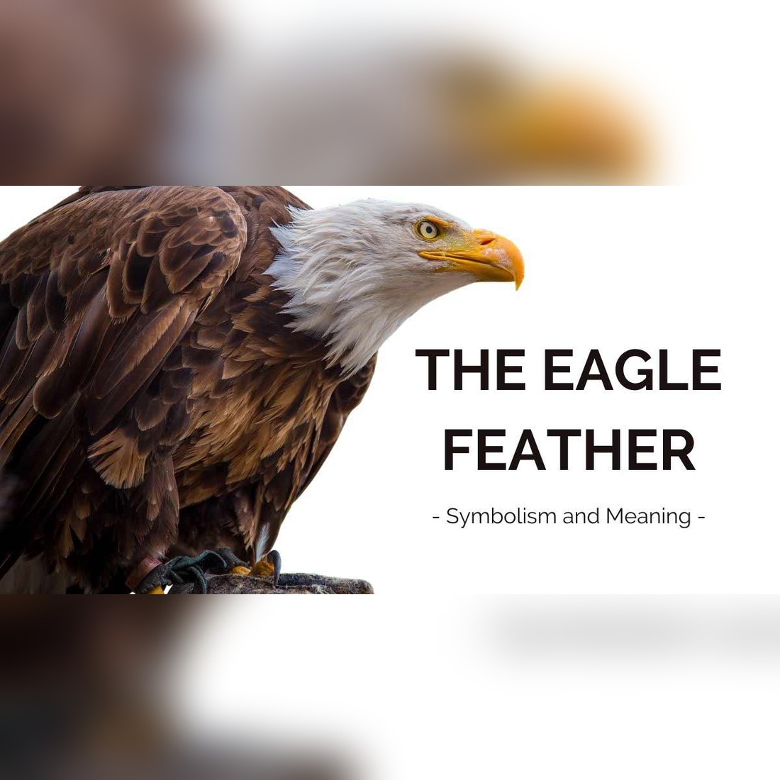 Eagle Feather Symbolism: Understanding the Meaning Behind this Powerful American Icon