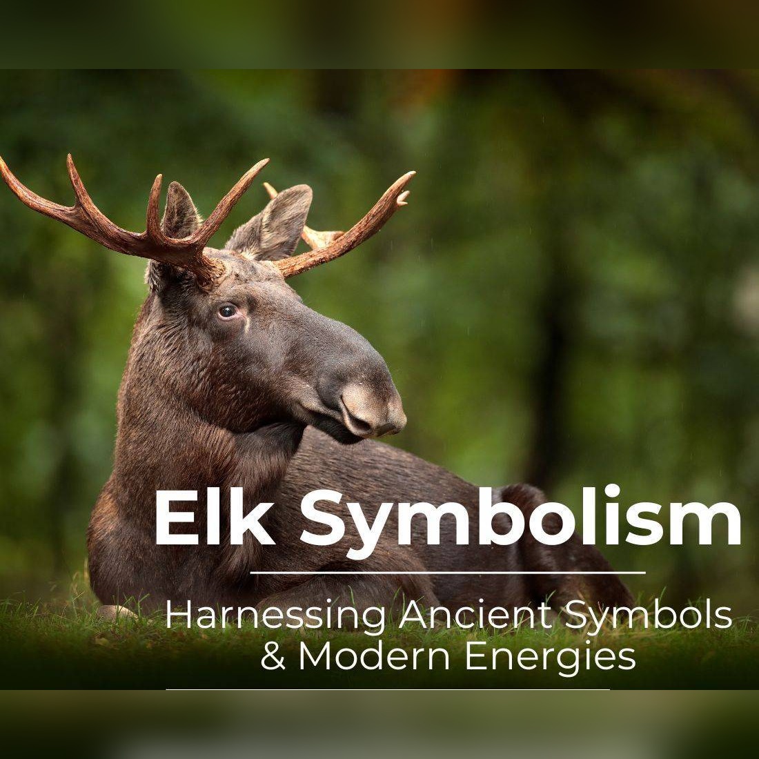 Elk Symbolism