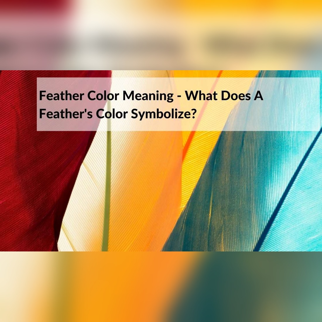The Secret Language of Feathers: Decoding Their Color Meanings