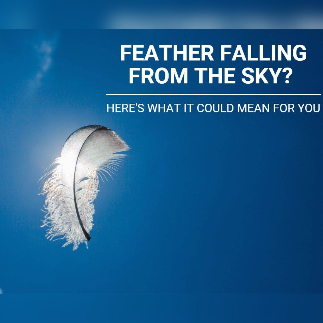 Feather Falling from the Sky? Here’s What it Could Mean for You