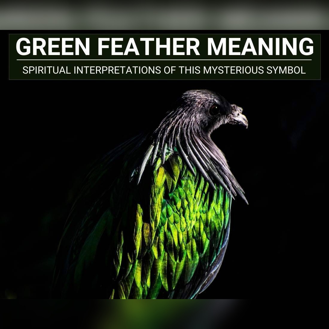 From Nature to Spirituality: Understanding the Symbolic Meaning of Green Feathers