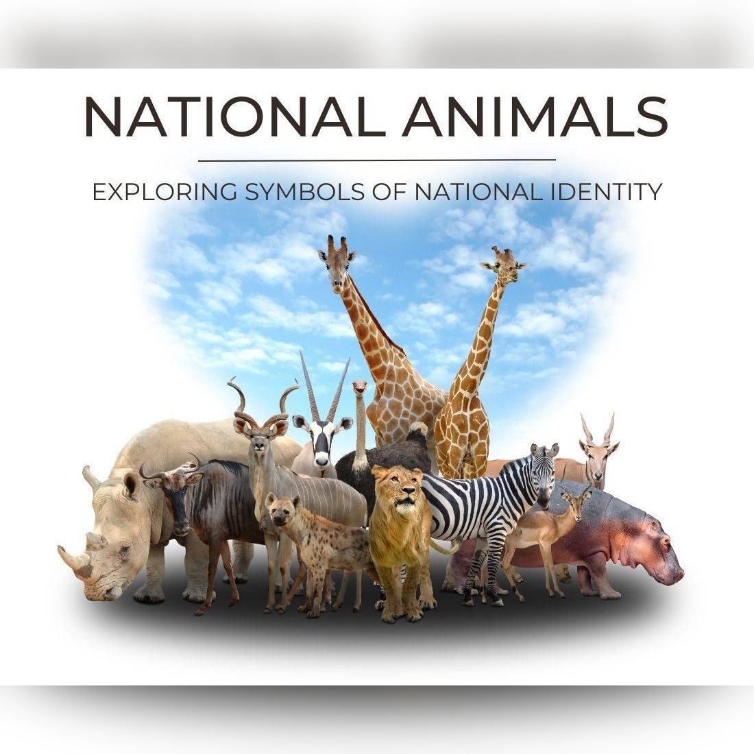 National animals National Identity