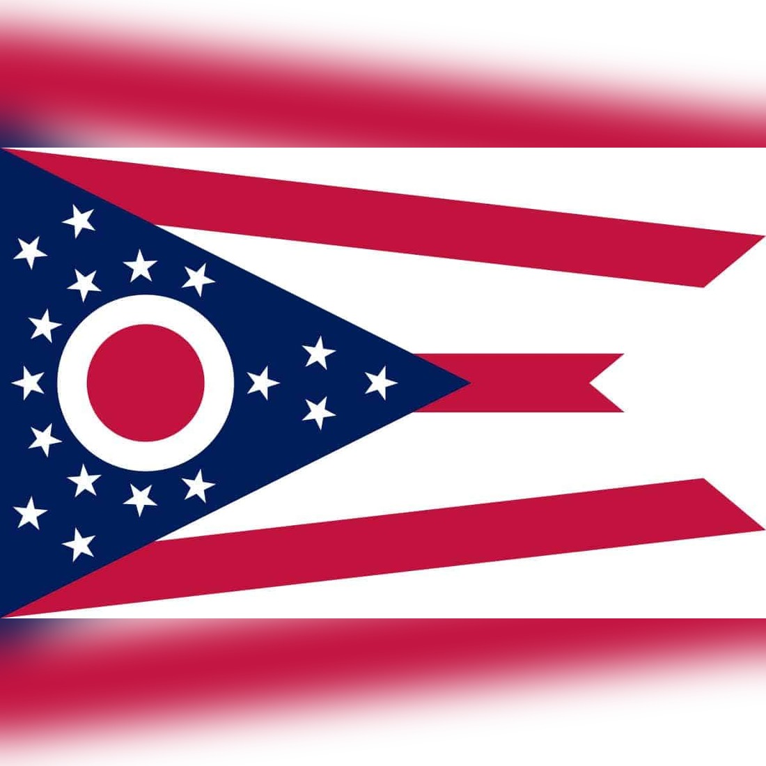 Ohio birds of prey