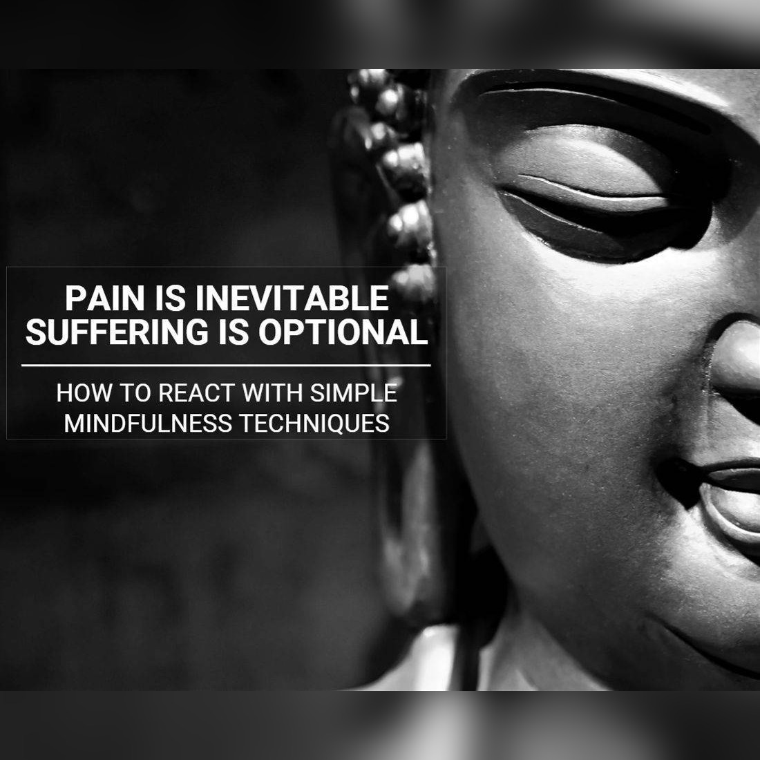 Pain Is Inevitable Suffering Is Optional