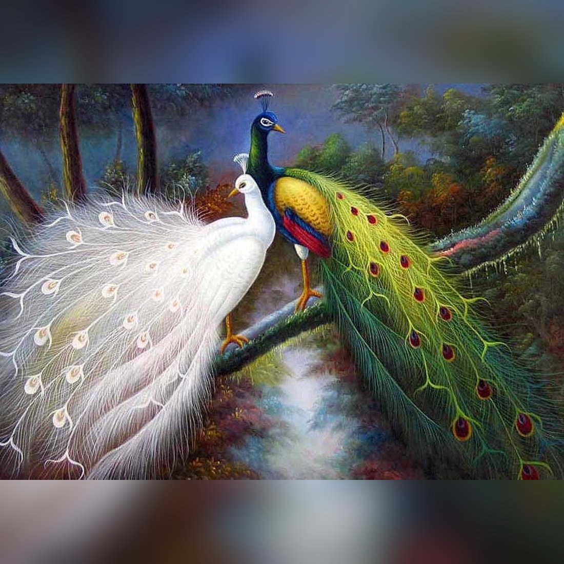 peacock in dream meaning