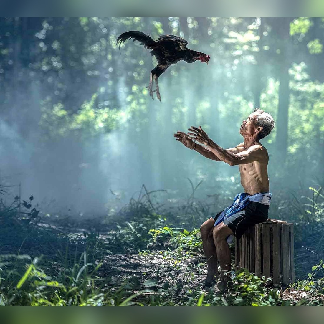 rooster symbolism