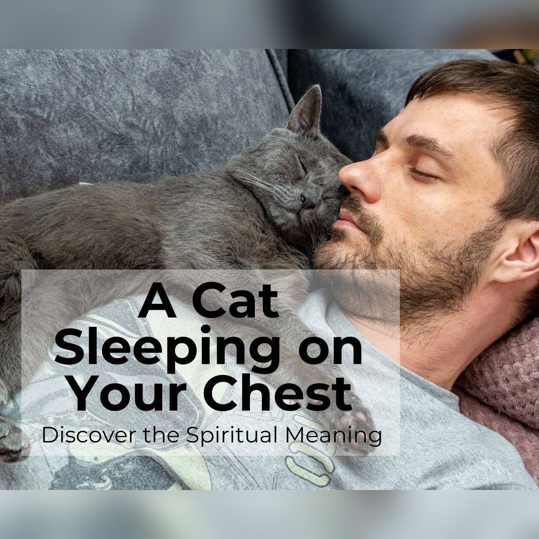 spiritual meaning cat-sleep-on-my-chest