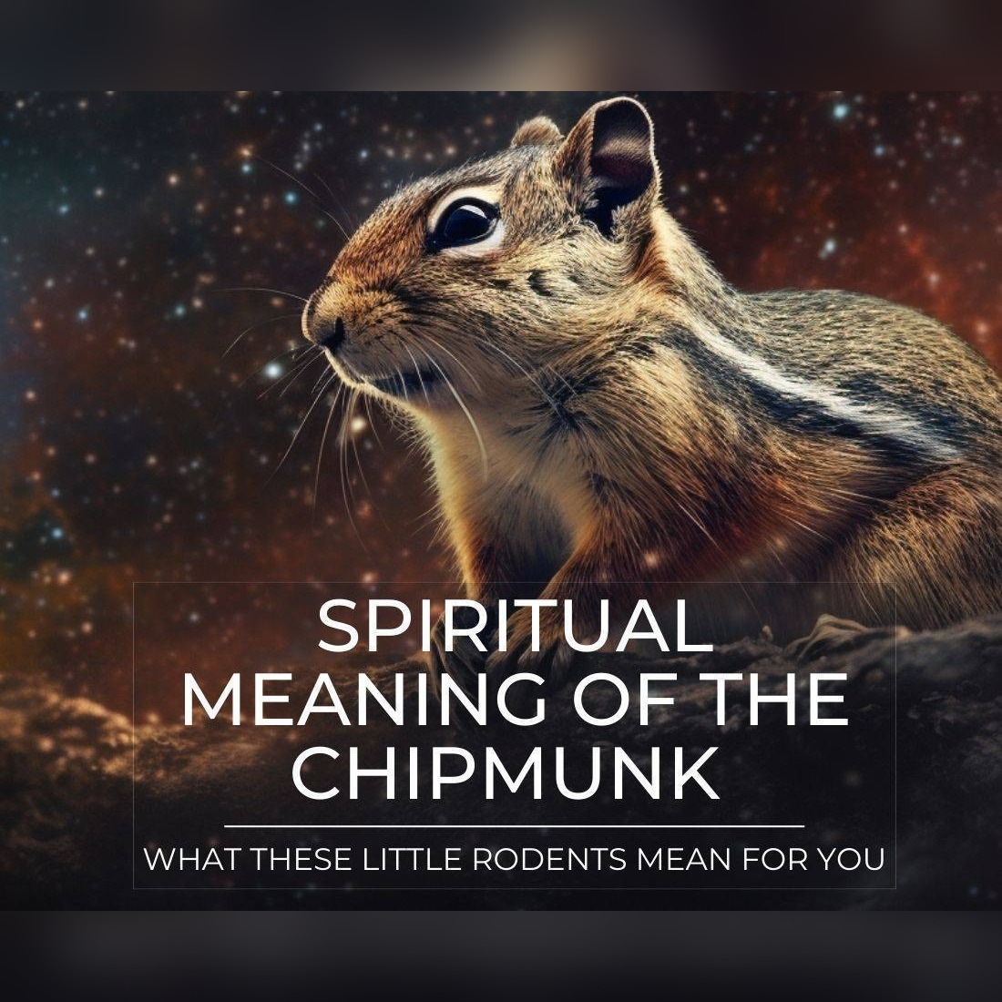 spiritual meaning chipmunk