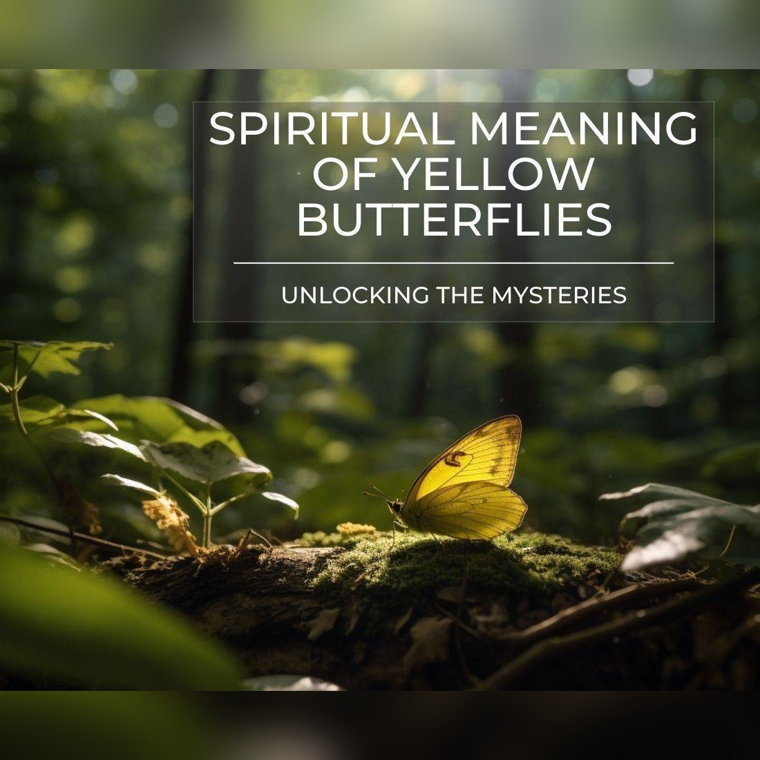 spiritual meaning of yellow butterflies