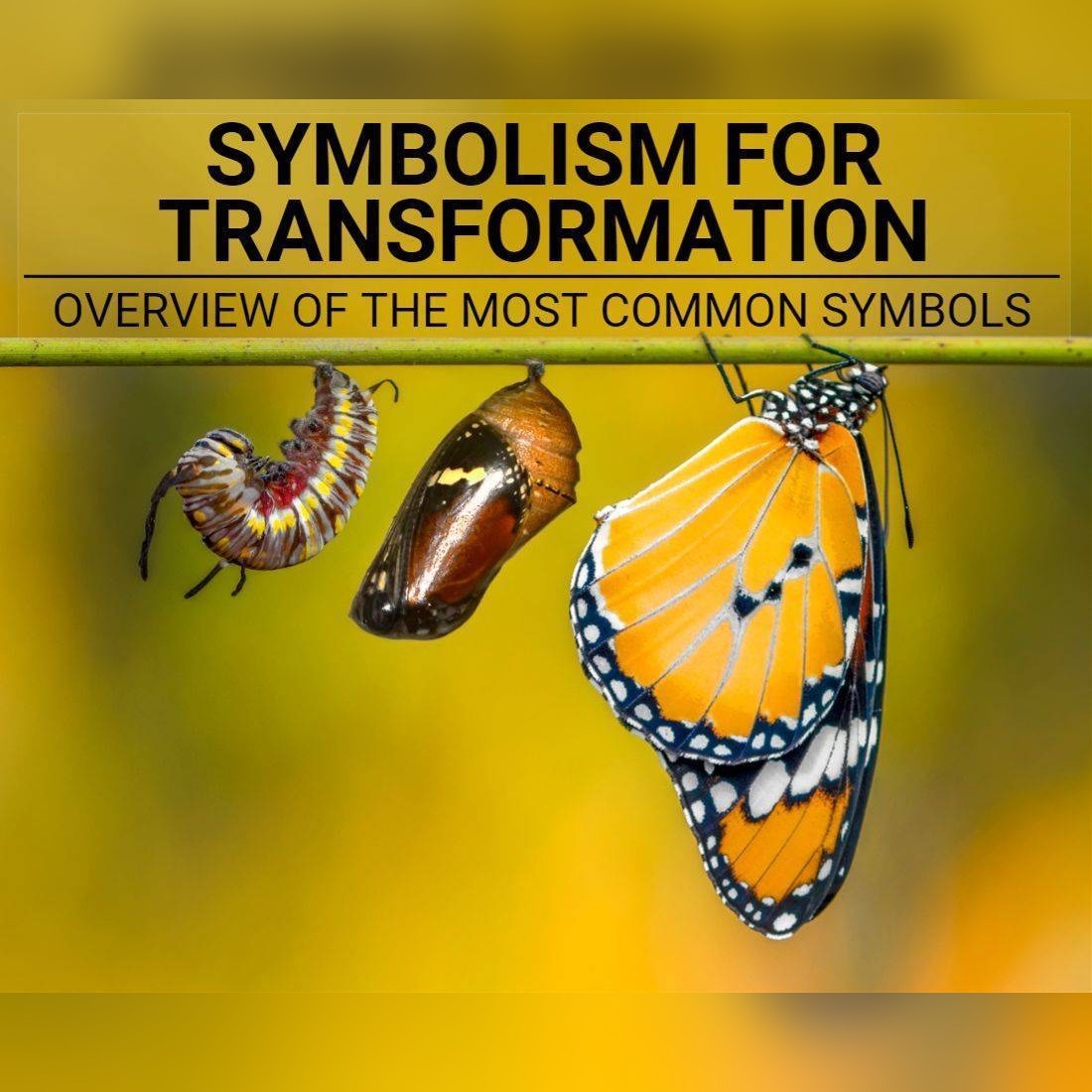Symbolism For Transformation
