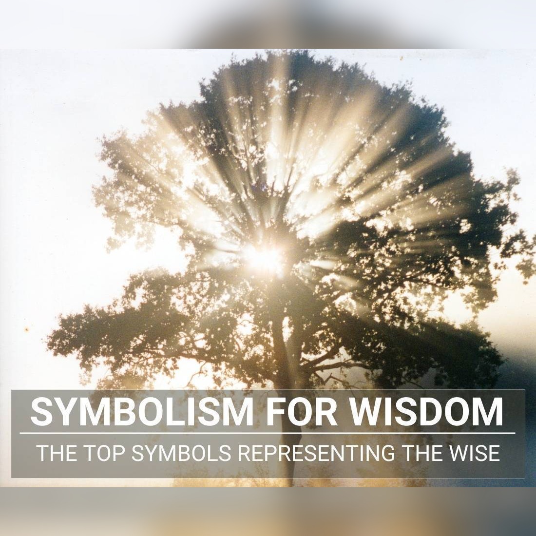 Symbolism For Wisdom