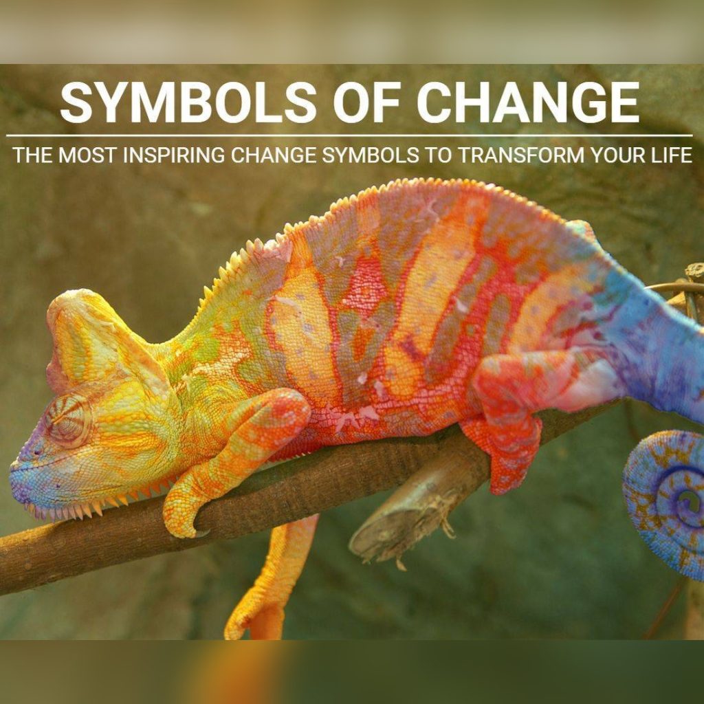 The Top Symbols Of Change: Inspire And Transform Your Life