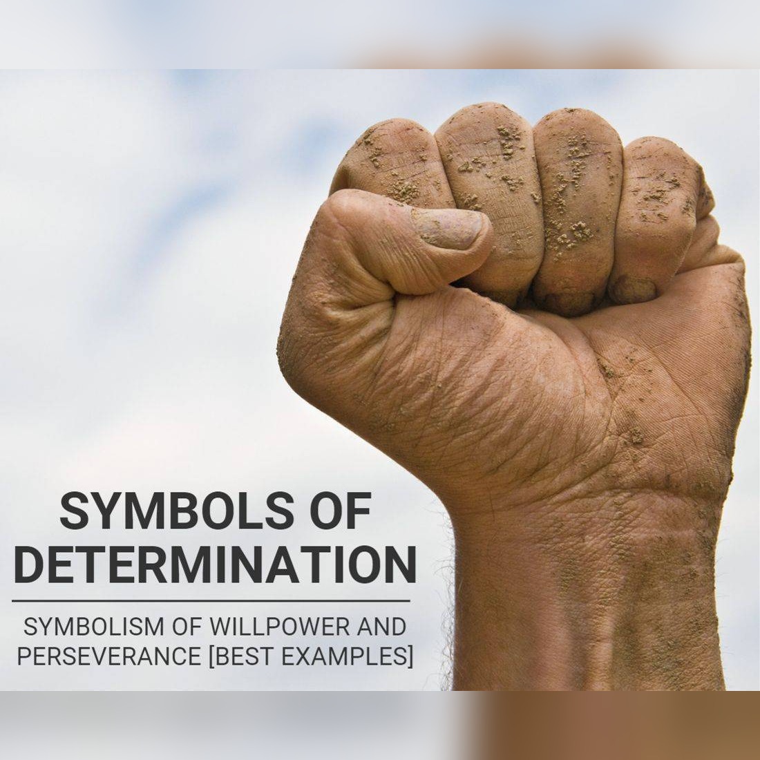 Symbols Of Determination