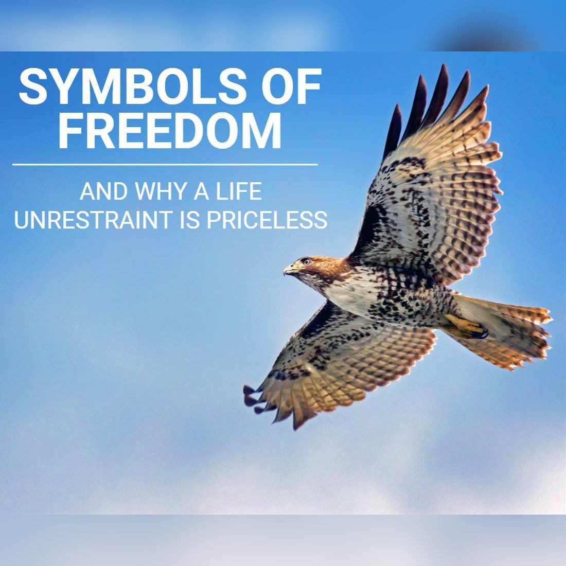 Symbols Of Freedom