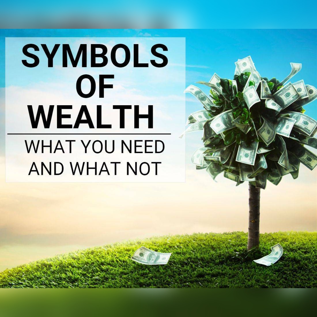 Symbols of Wealth