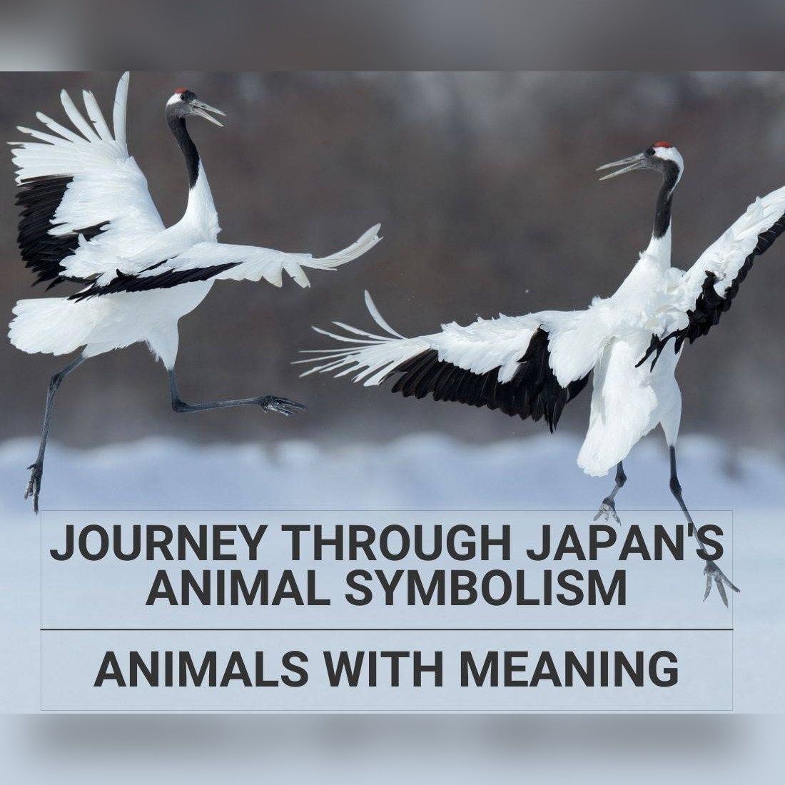 symbolic animals Japan