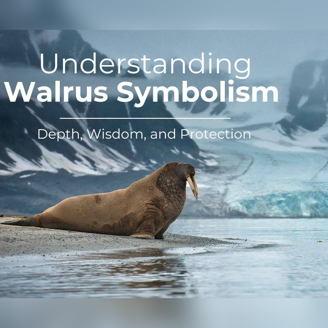 walrus symbolism spiritual meaning