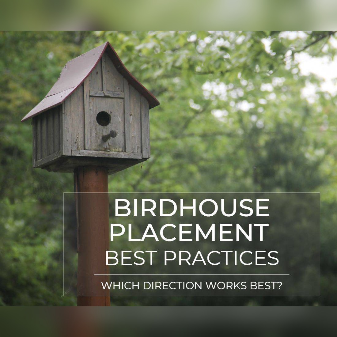 what direction should a birdhouse face