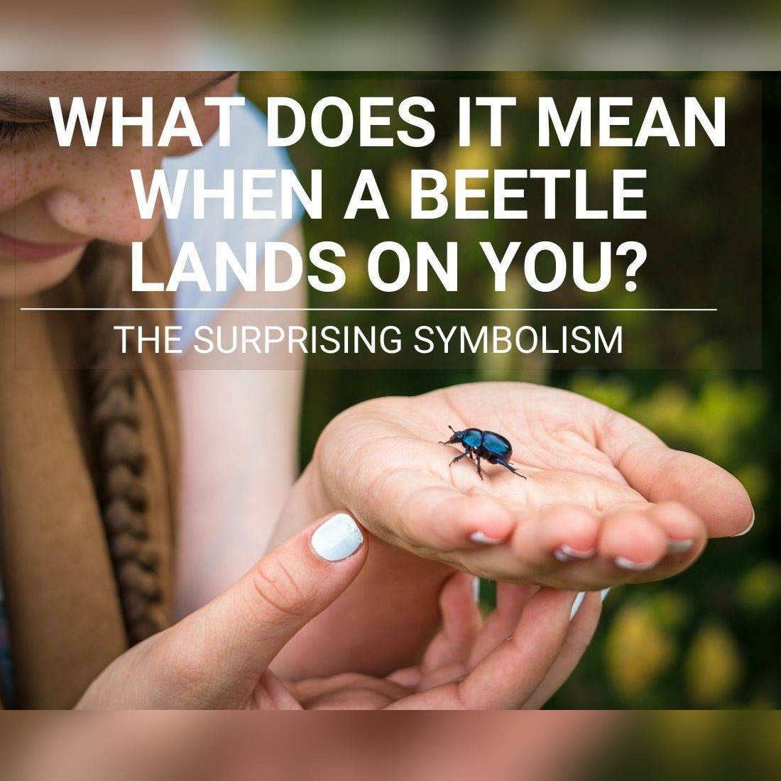 Beetle Landing On You: 7 Spiritual Messages of Protection, Transformation & Strength
