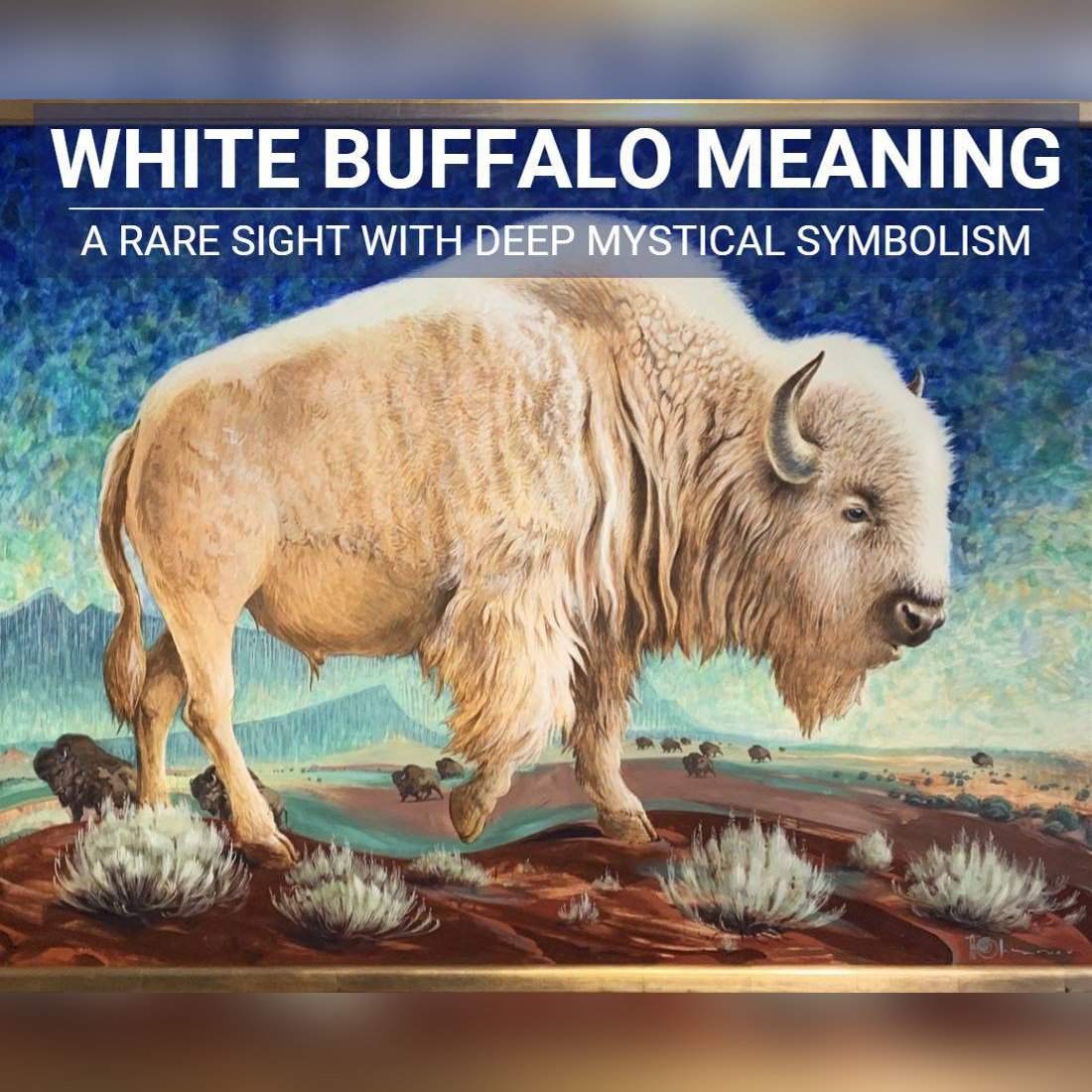 White Buffalo Meaning