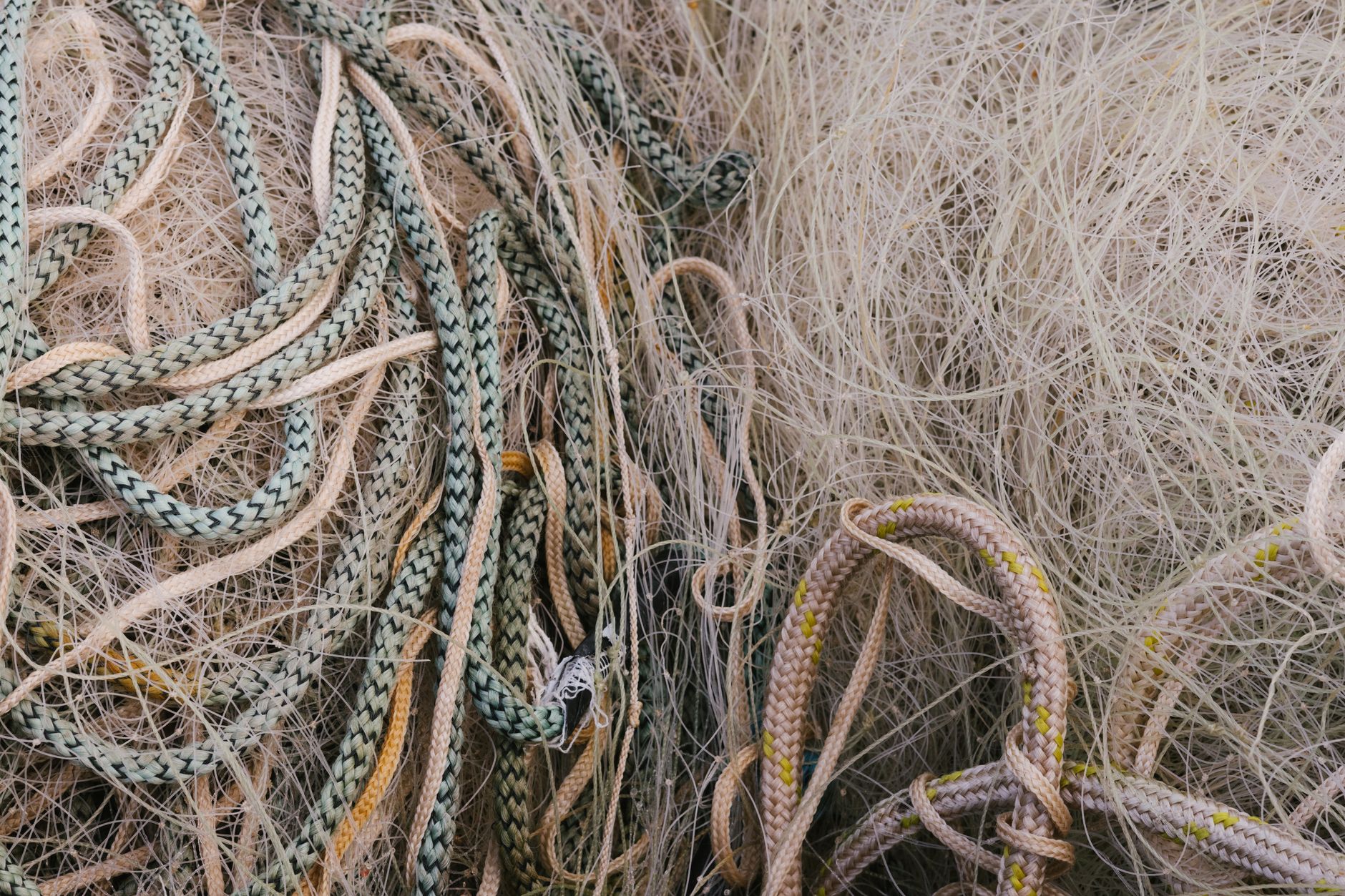 Colorful threads twisted together in confusing knots and tangles.
